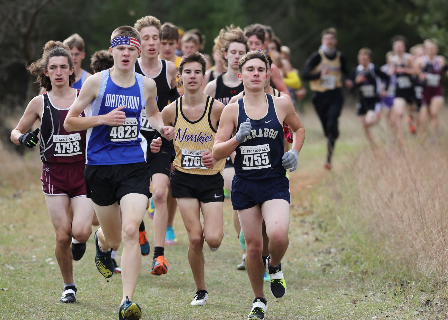 WIAA girls and boys cross country sectional
